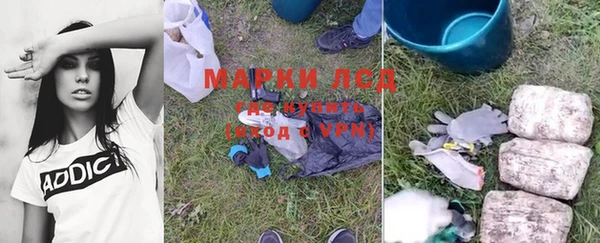 хмурый Алексин