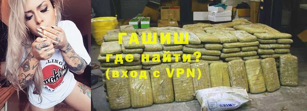 хмурый Алексин