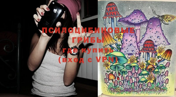 метадон Семёнов